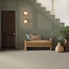 Anderson Tuftex In Step ZZ368 Residential Carpet - 