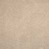 Stanton Gwen 1325 Residential Carpet - Putty