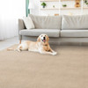 Stanton Gwen 1325 Residential Carpet - Putty Room Scene