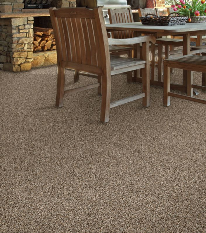 Buy Shaw Cabana Tweed Indoor Outdoor Carpet for a Low Price at