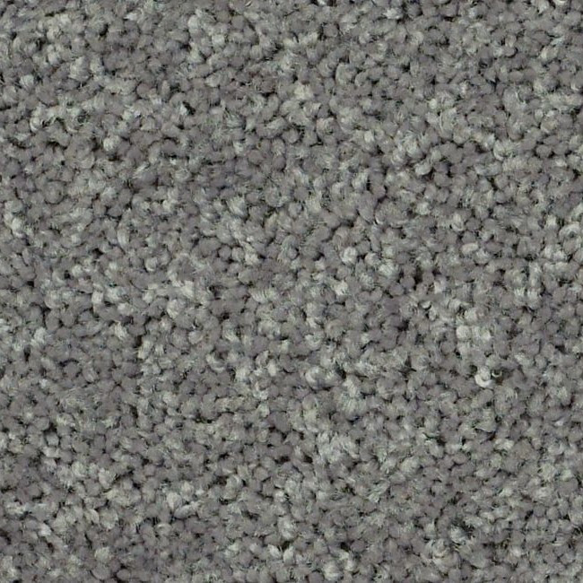 Shaw Cabana Life Carpet Reviews Discount mcpi.edu.ph