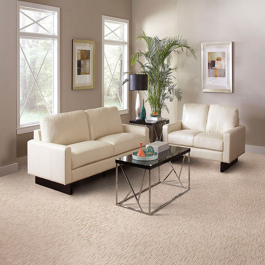 Buy Masland Artistic Vision Residential Carpet at Georgia Carpet