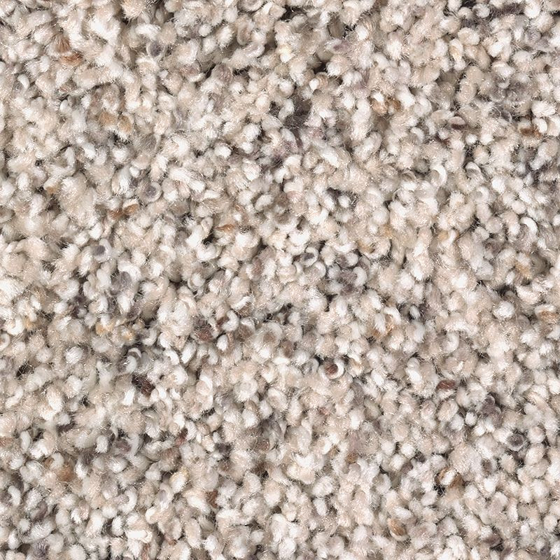 Buy Mohawk Forever Fresh Soft Sensation Carpet for A Great Value