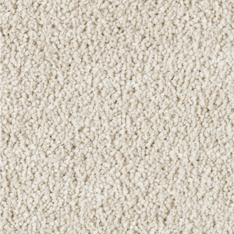 Buy Mohawk Exquisite Attraction 2S13 Residential Carpet for A
