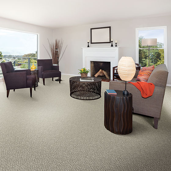 Buy Fabrica Montalcino Nylon Carpet at Georgia Carpet for a Great