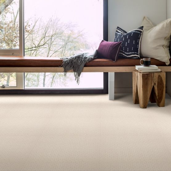 Anderson Tuftex Casual Mood Z6820 Residential Carpet