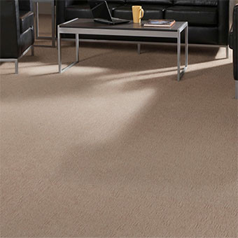 Buy Masland Casa Grande Residential Carpet at Georgia Carpet