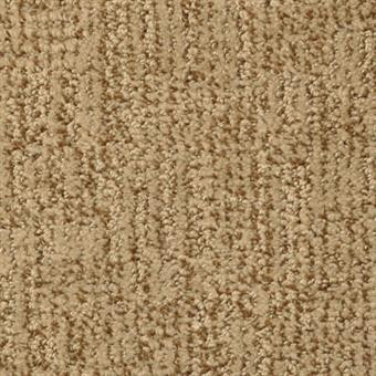 Buy Masland Casa Grande Residential Carpet at Georgia Carpet