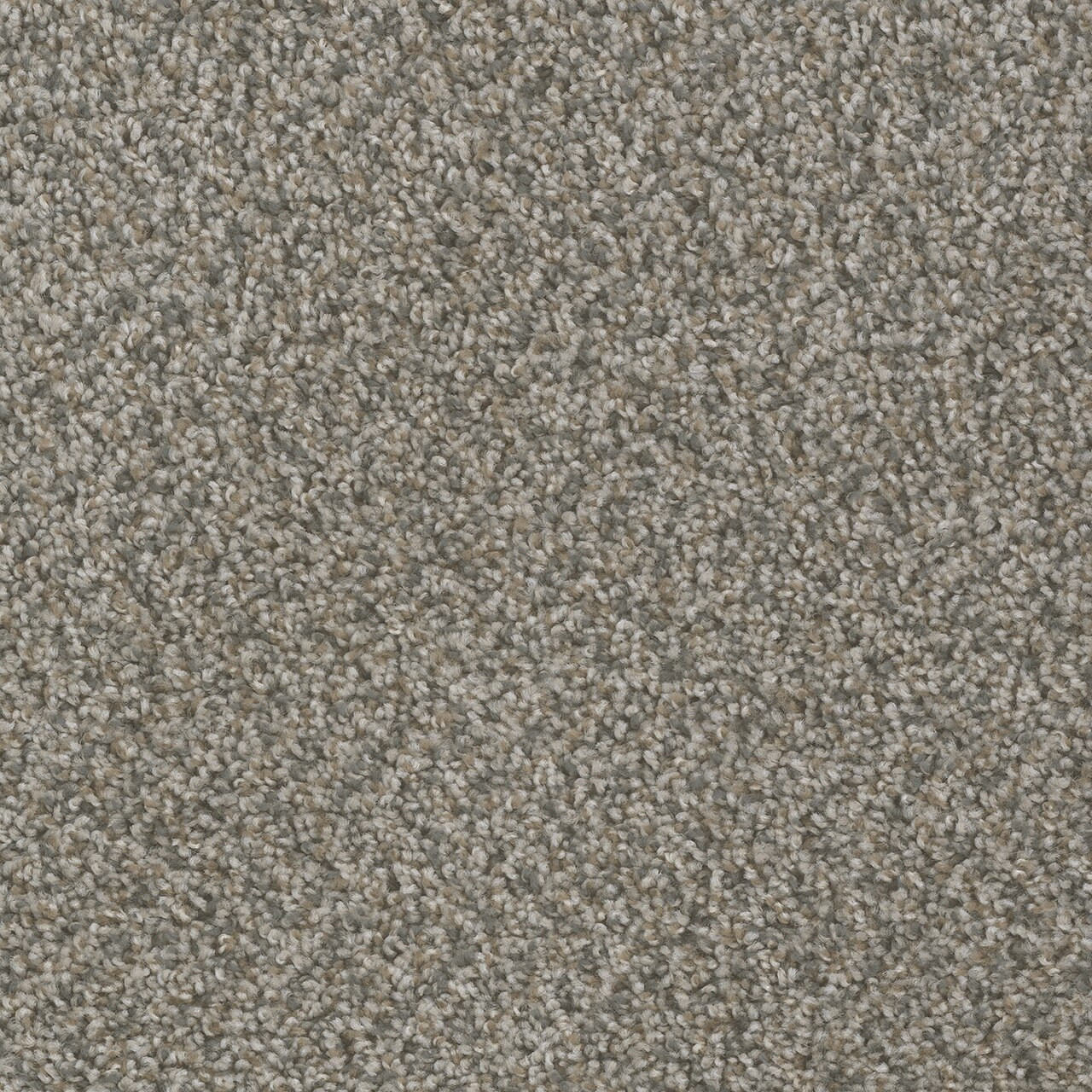 Dream Weaver Hot Pursuit 1424 Carpet at Georgia Carpet for Great Value