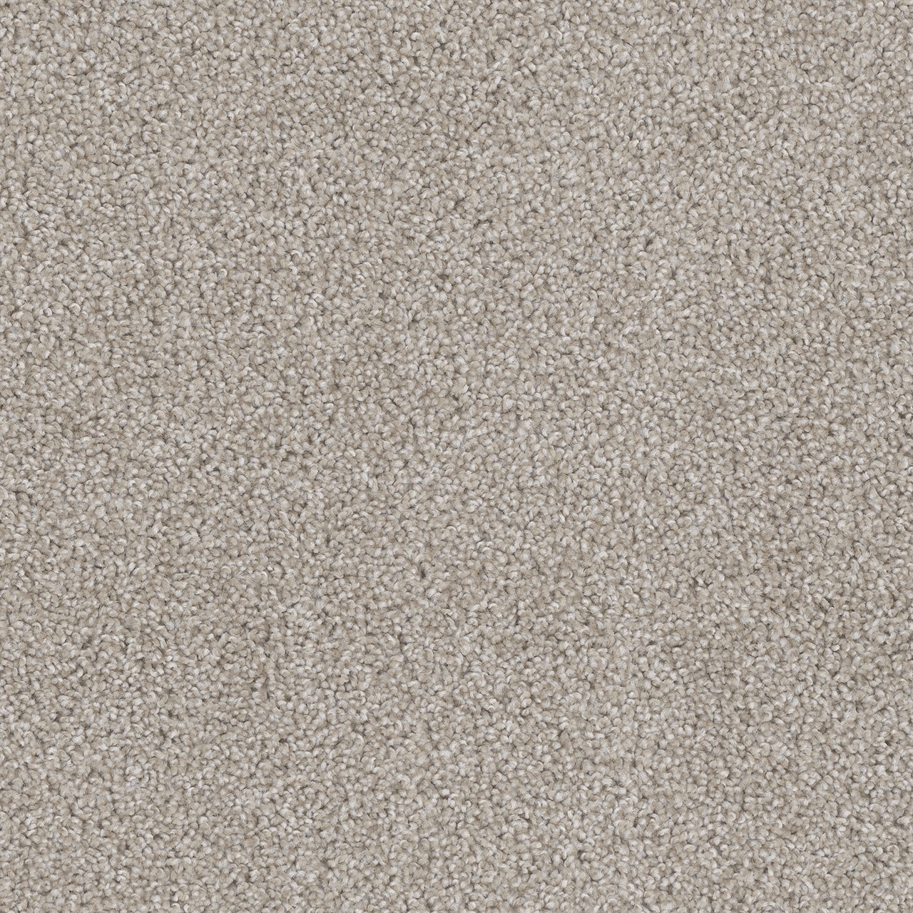 Dream Weaver Cedar Creek 2030 Carpet at Georgia Carpet for Great Value