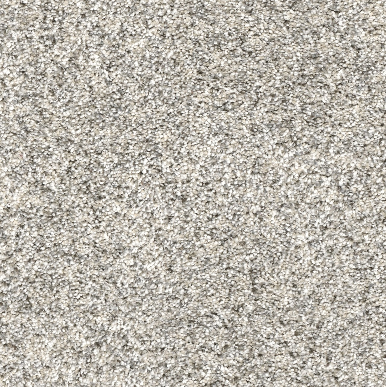 Dream Weaver Confetti I 3138 Carpet at Georgia Carpet for Great Value