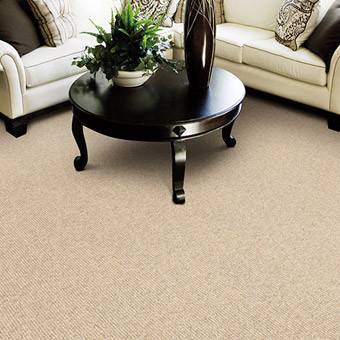 Buy Masland Heatherpoint Wool Residential Carpet at Georgia Carpet