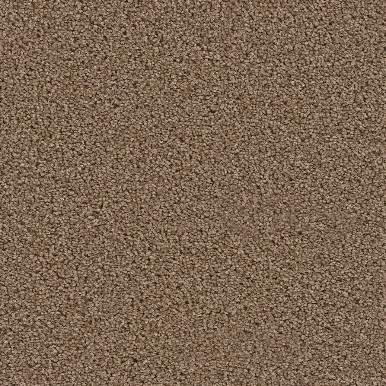 Dream Weaver Exceptional 7402 Carpet at Georgia Carpet for Great Value