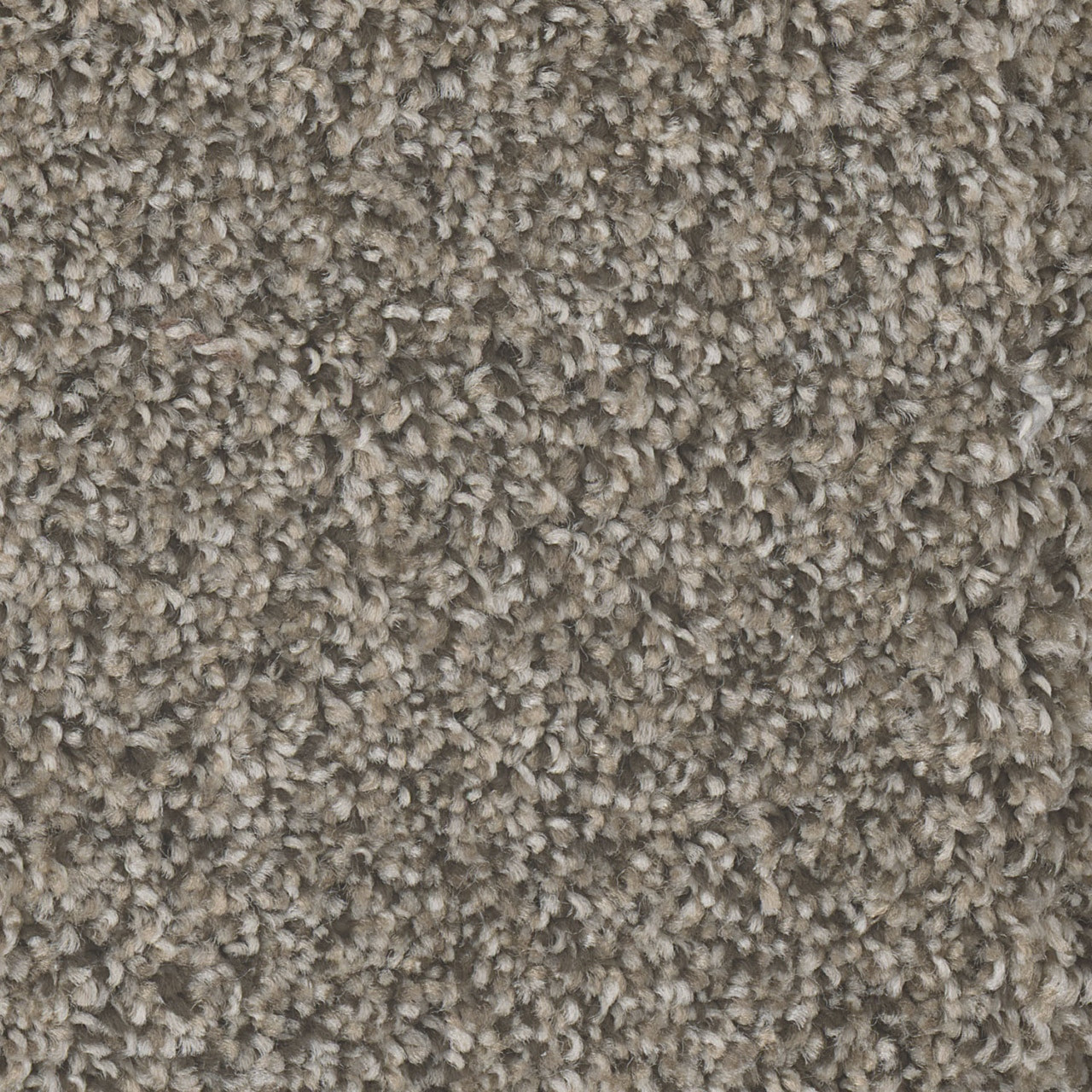 Dream Weaver Jackson Hole I 7543 Carpet at Georgia Carpet for
