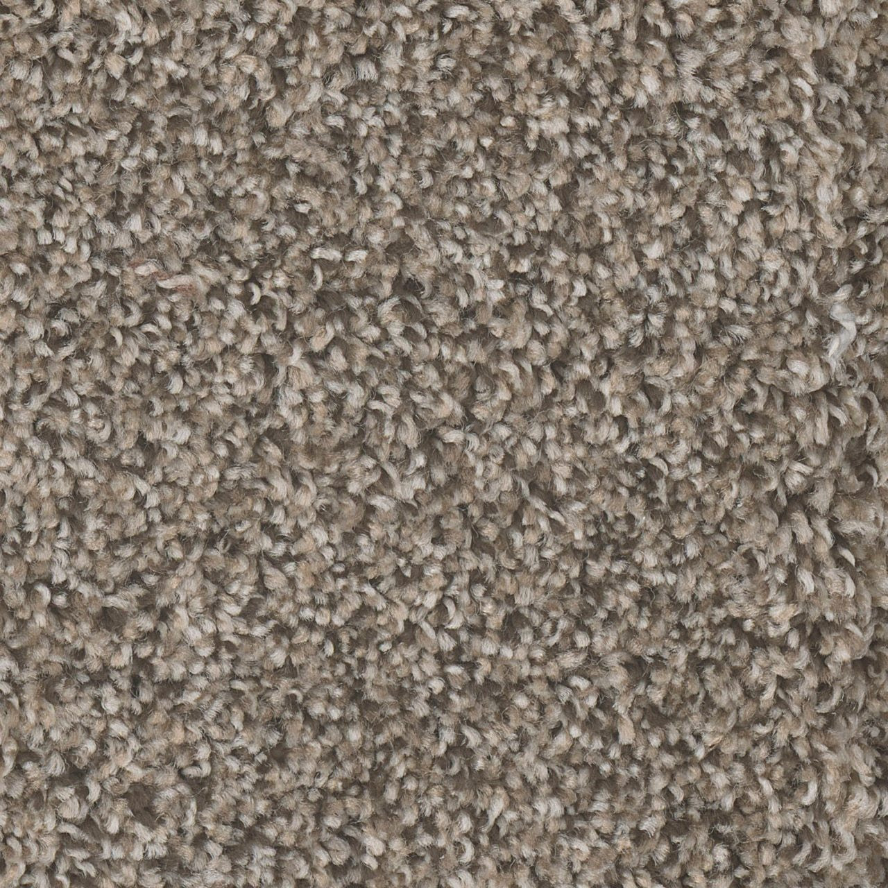 Dream Weaver Jackson Hole II 7560 Carpet at Georgia Carpet for