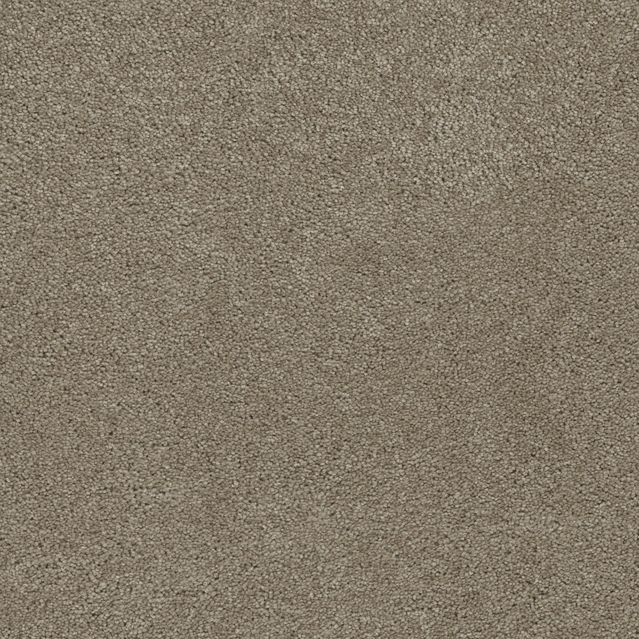 Dreamweaver Rock Solid III 4365 Residential Carpet