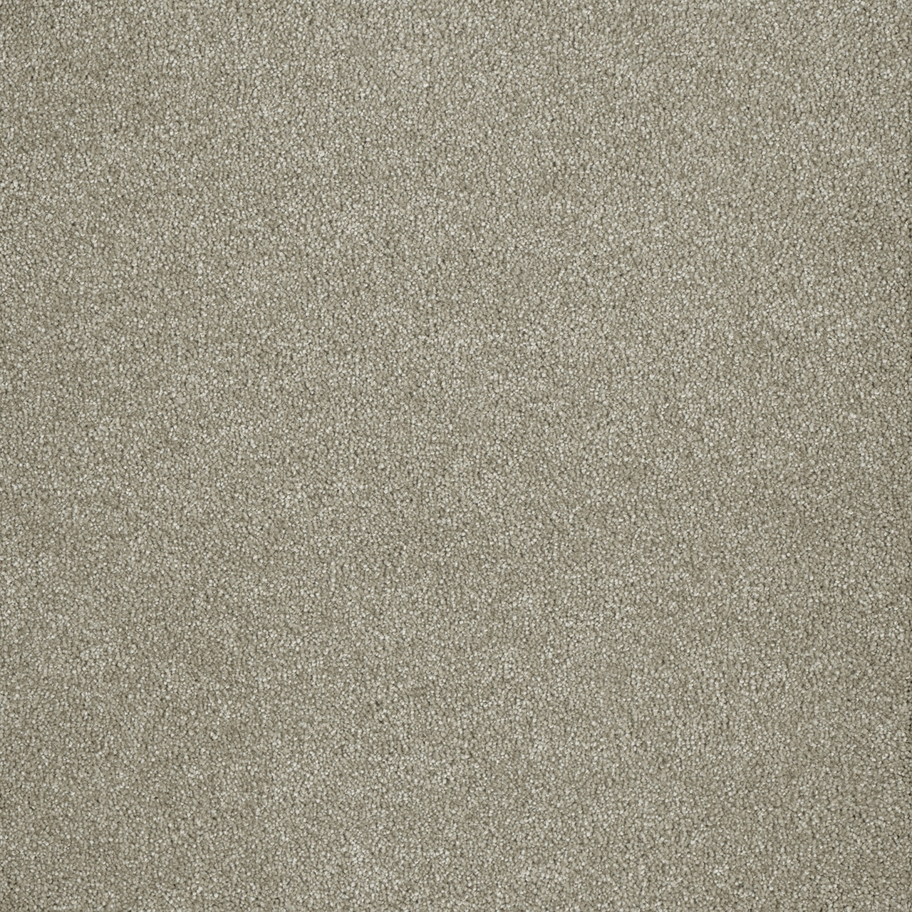 ◆ept◆ MALIBU GREYGUM 11715378 Dream Weaver Malibu I 3740 Carpet at Georgia Carpet for
