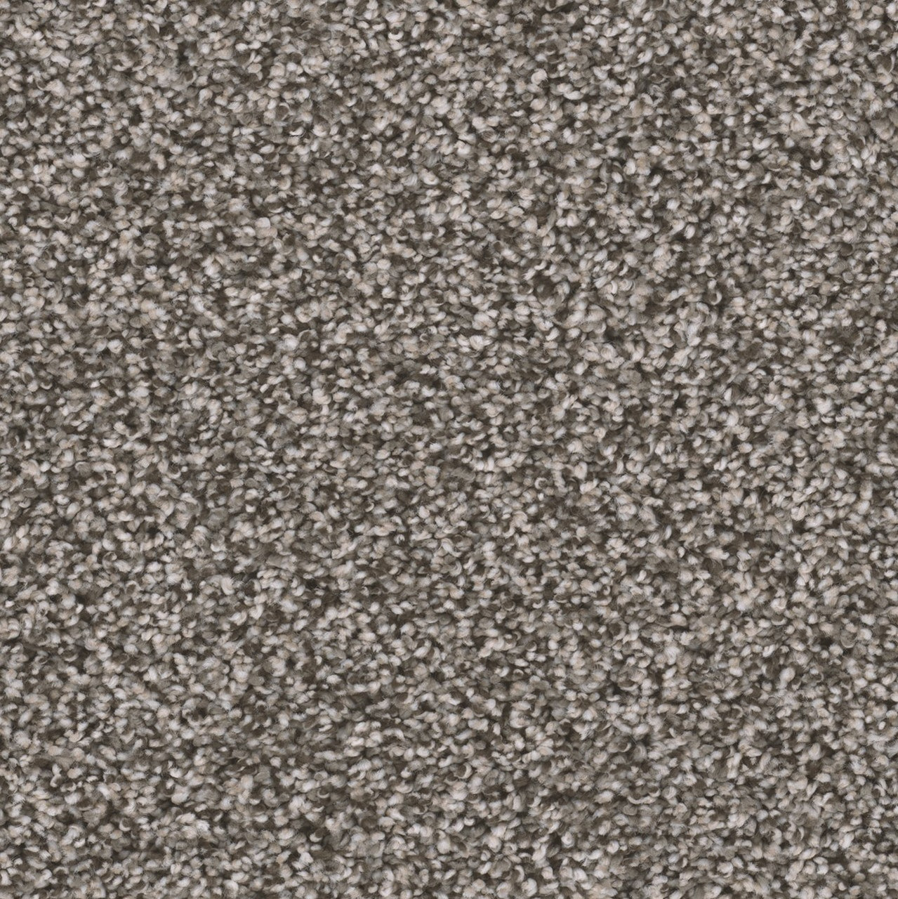 Dream Weaver Reflections III 5375 Carpet at Georgia Carpet for