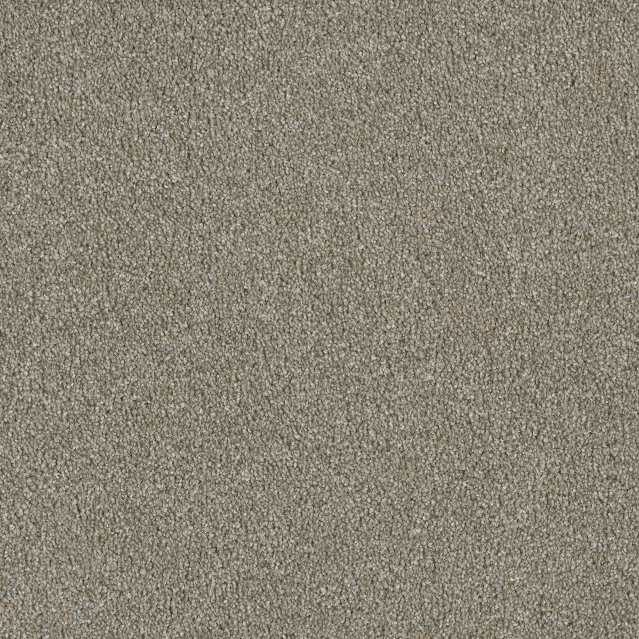 Dream Weaver Luxor II 7750 Carpet at Georgia Carpet for Great Value