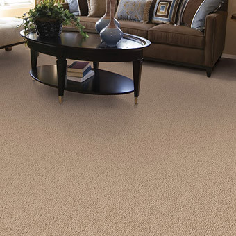 Buy Masland Novellino Wool Residential Carpet at Georgia Carpet