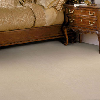 Buy Masland Silk Touch Residential Carpet at Georgia Carpet