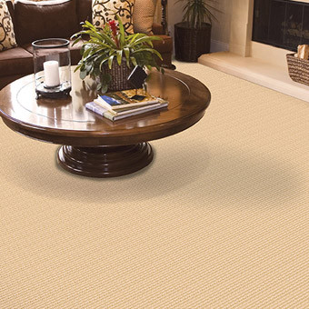 【D1様用】TARM / Nad Tulevad Kääpaist Buy Masland Trafalgar Wool Residential Carpet at Georgia Carpet
