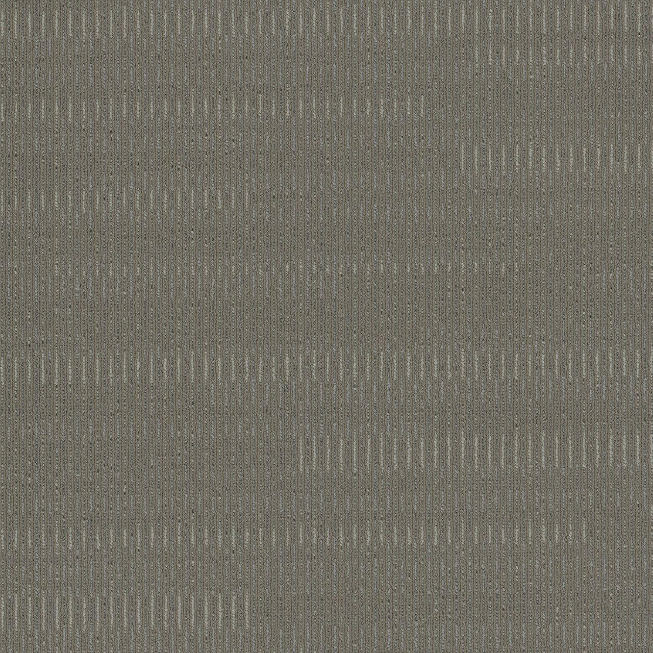 2759_Arid_Gray__97279.