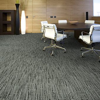 Buy Masland Zing Nylon Residential Carpet at Georgia Carpet