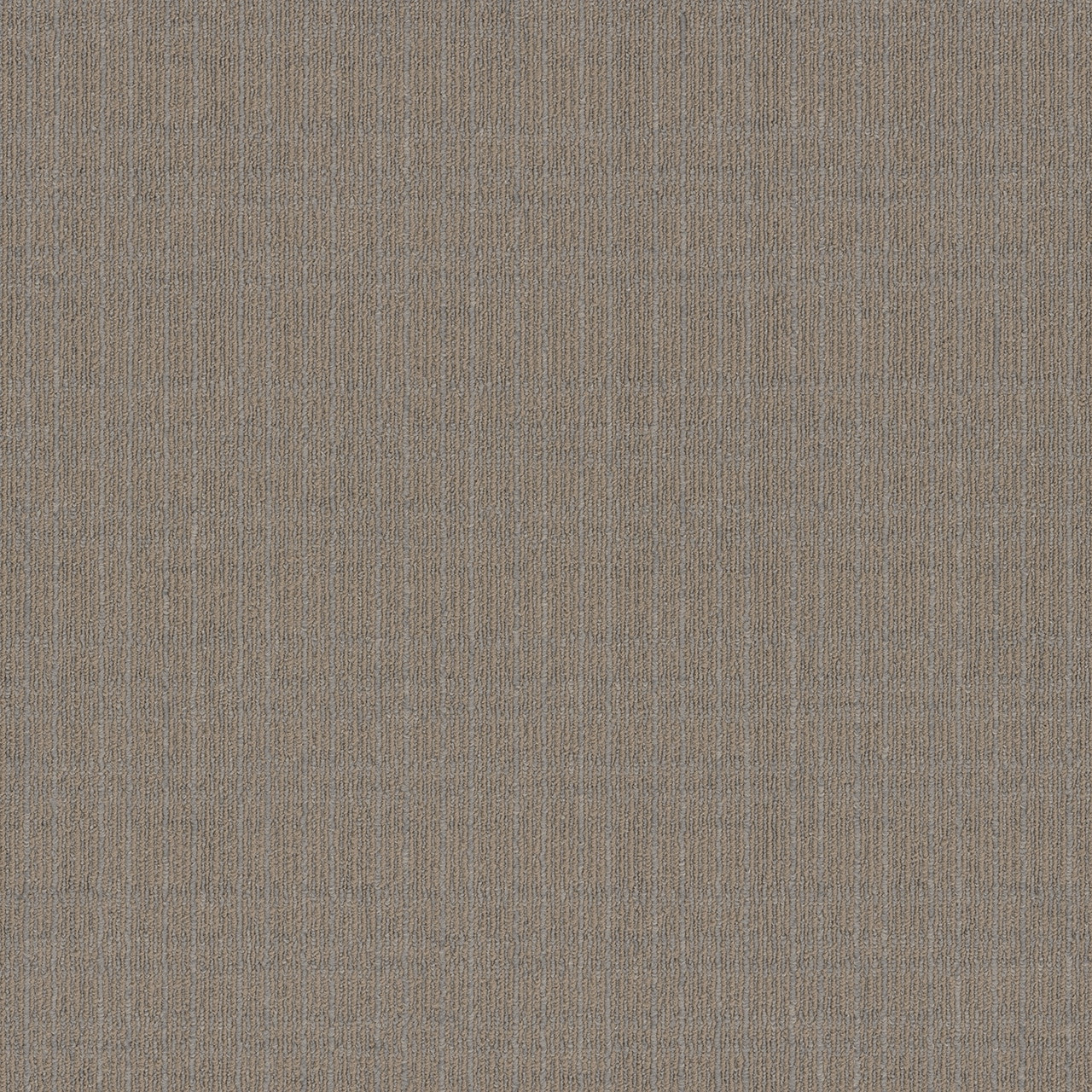 Engineered Floors Oasis Broadloom is Available for a Great Price