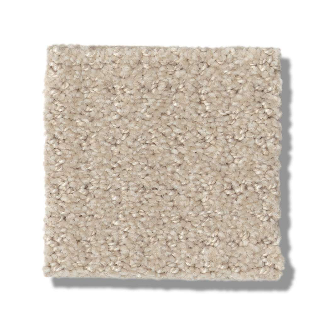 00107_Biscuit__46204.