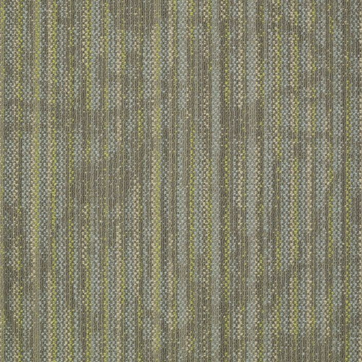 Buy Shaw Philadelphia Reveal Carpet Tile at Georgia Carpet