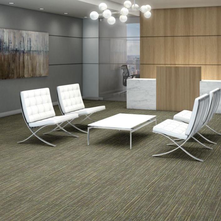 Buy Shaw Philadelphia Enlighten Carpet Tile at Georgia Carpet
