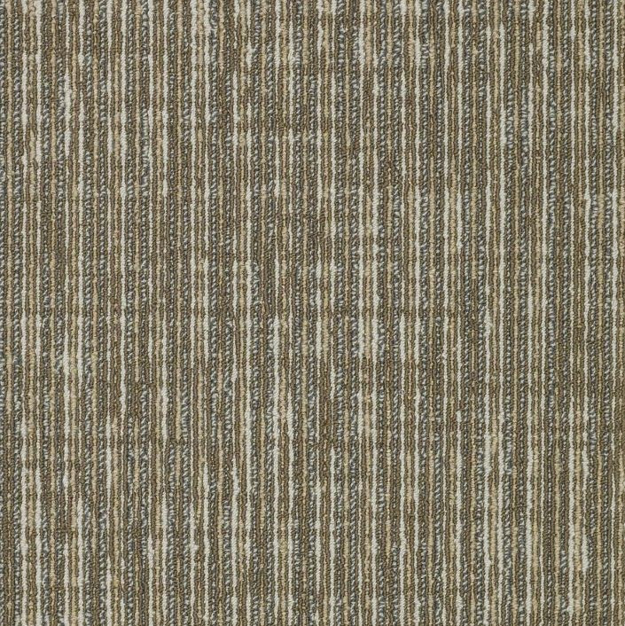 Buy Shaw Philadelphia Straight Shift Carpet Tile at Georgia Carpet