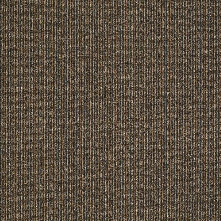 Buy Shaw Philadelphia Step On It Carpet Tile at Georgia Carpet