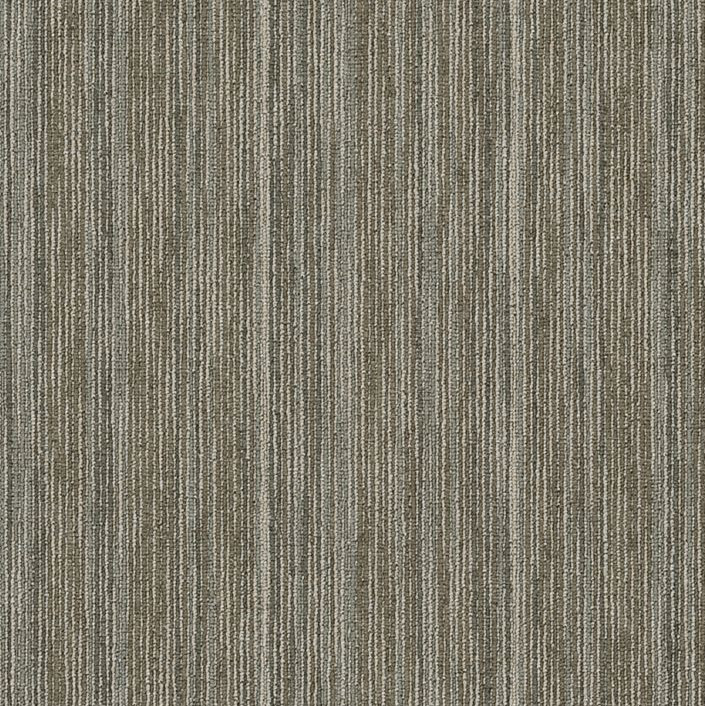 Buy Shaw Philadelphia Praise Commercial Carpet at Georgia Carpet