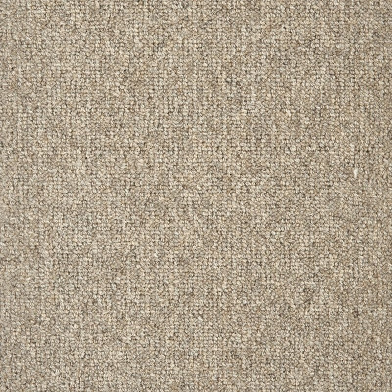 Buy Stanton Natural Wonders Saratoga Residential Carpet at Georgia