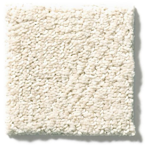 Anderson Tuftex Always Natural ZZ289 Nylon Carpet | Georgia Carpet