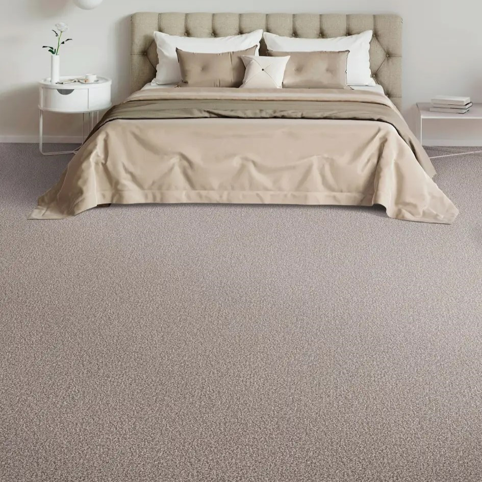 Buy Engineered Floors DreamWeaver Beach Club I Residential Carpet