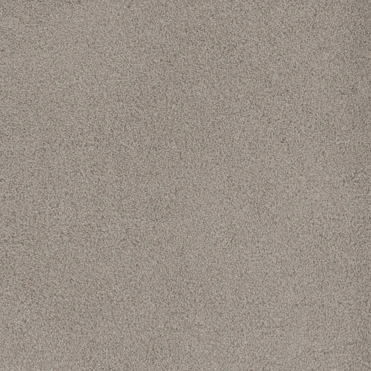 ♧バーニー・プロジェクト グラス・ウォール ECD-1007 Buy Engineered Floors DreamWeaver Beach Club I Residential Carpet