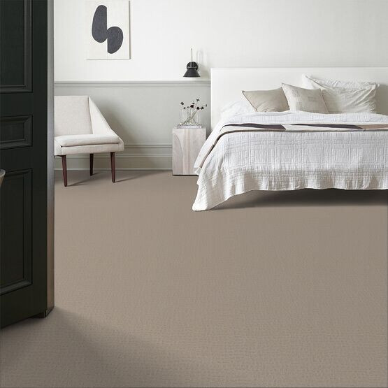 Shaw Anderson Tuftex Solstice Nylon Carpet 29.3 oz | Georgia Carpet