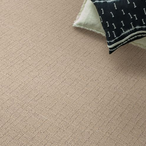 Shaw Anderson Tuftex Wayfarer Nylon Carpet 29.2oz | Georgia Carpet