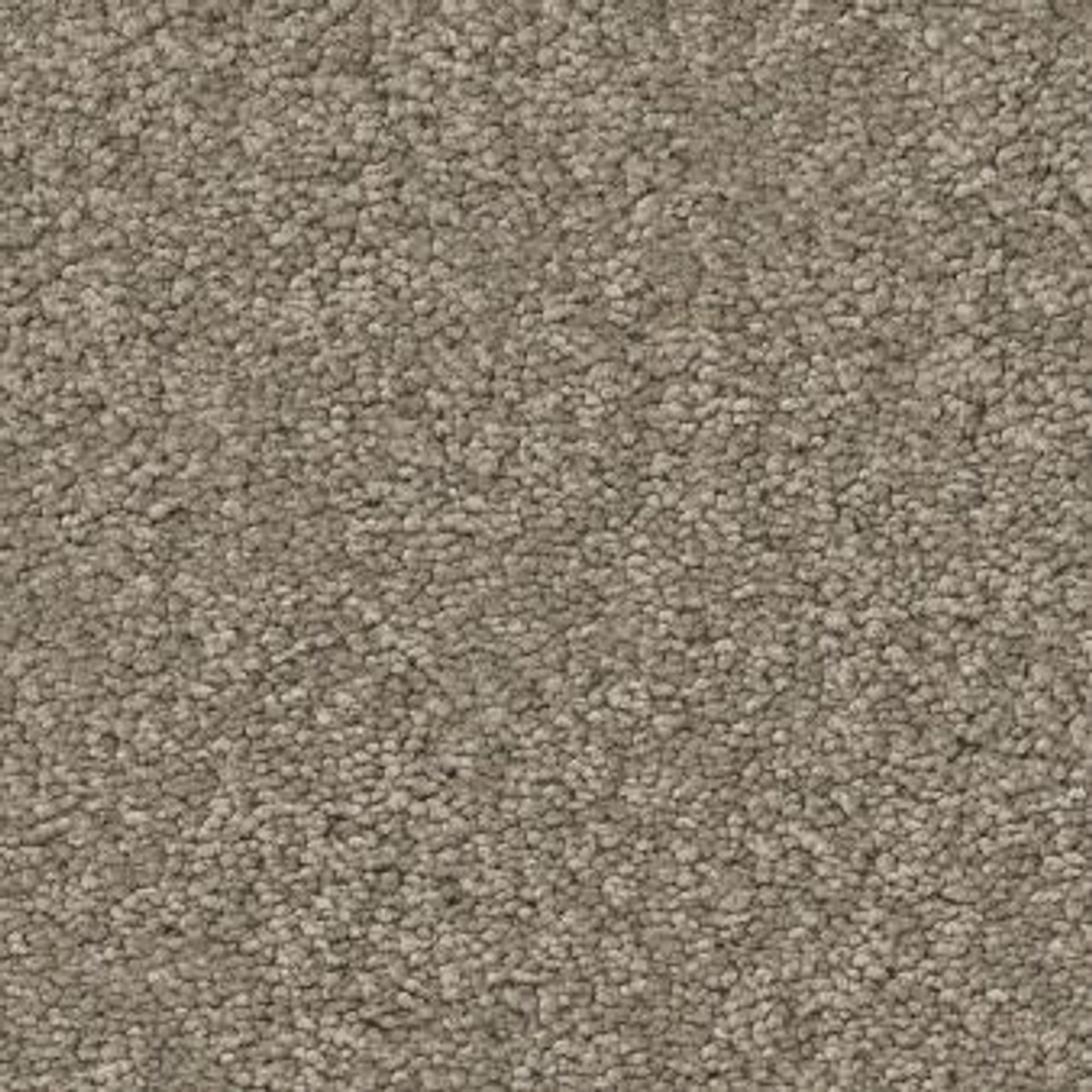 Shaw Anderson Tuftex Elegant Beauty ZZ269 Residential Carpet