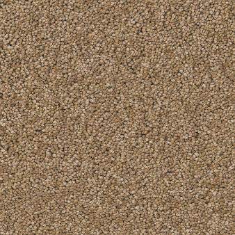 モ*ォ様 CARPET COMPANY ダックジャケット モ*ォ様 CARPET COMPANY ダックジャケット - メルカリ