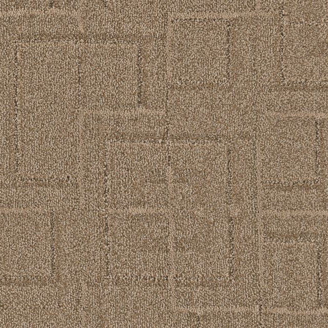 Anderson Tuftex Signature Path ZZ293 Residential Carpet