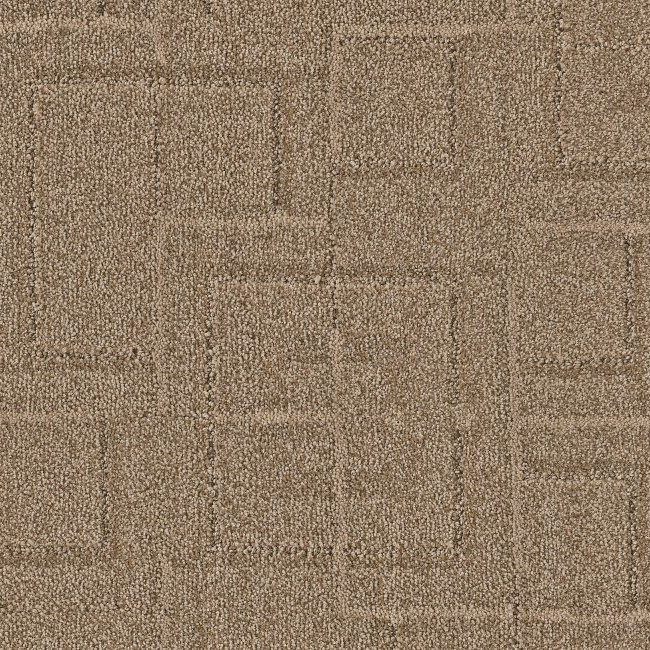 Anderson Tuftex Signature Path ZZ293 Residential Carpet