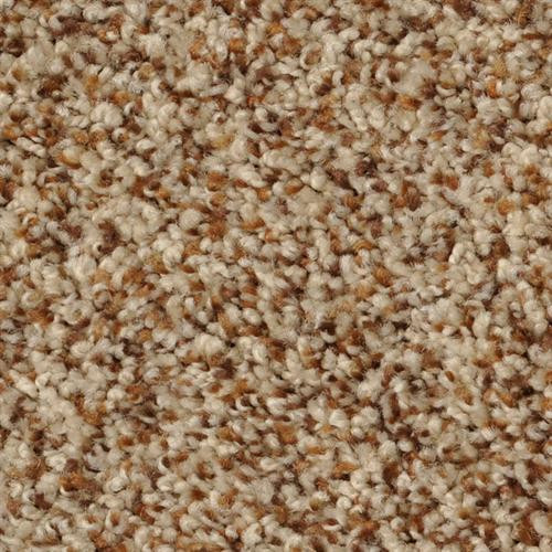 Dixie Home Bombay is Available for a Great Price at Georgia Carpet.