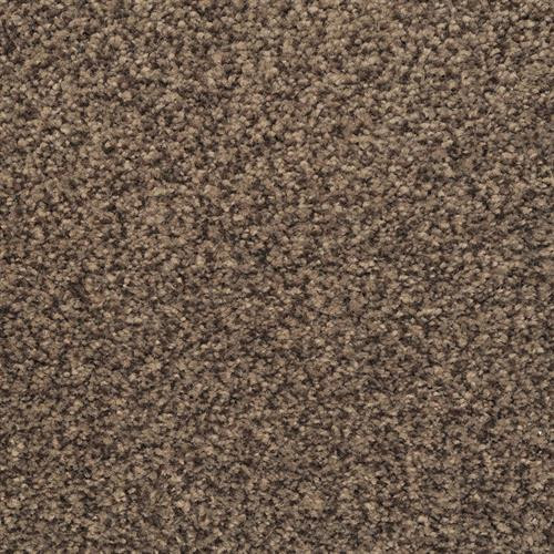 Dixie Home Chromatic Touch is Available for a Great Price at