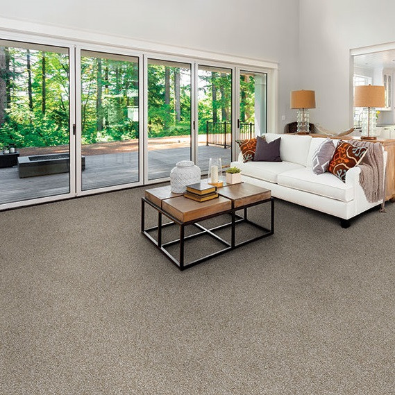 Dixie Home Color Festival is Available for a Great Price at