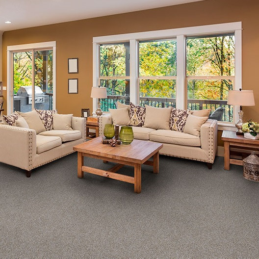 Dixie Home Colorworks is Available for a Great Price at Georgia