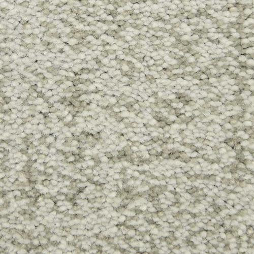 Dixie Home Mystique is Available for a Great Price at Georgia Carpet.